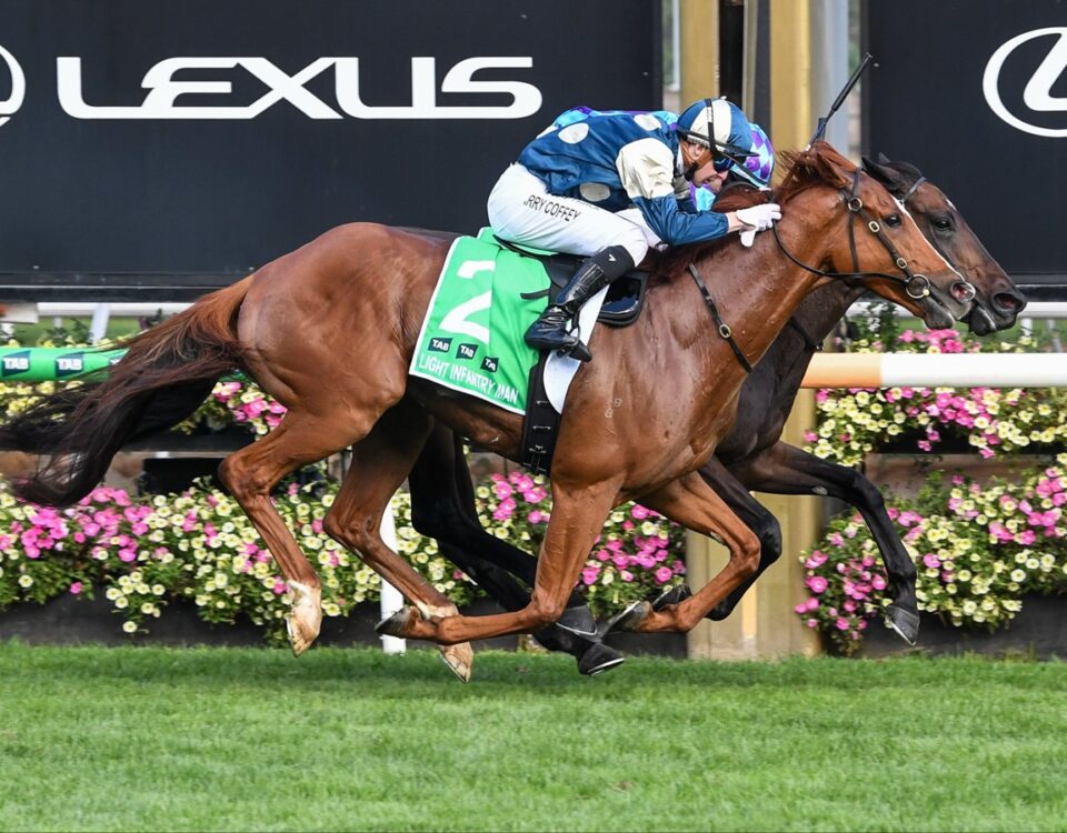 LIGHT INFANTRY MAN - Australian Cup - Photo credit: Victoria Racing Club - Flemington