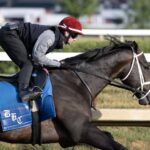 Just a Touch - Barbara D. Livingston - Daily Racing Form