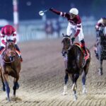 Magnitude - Dubai World Cup - Dubai Racing Media