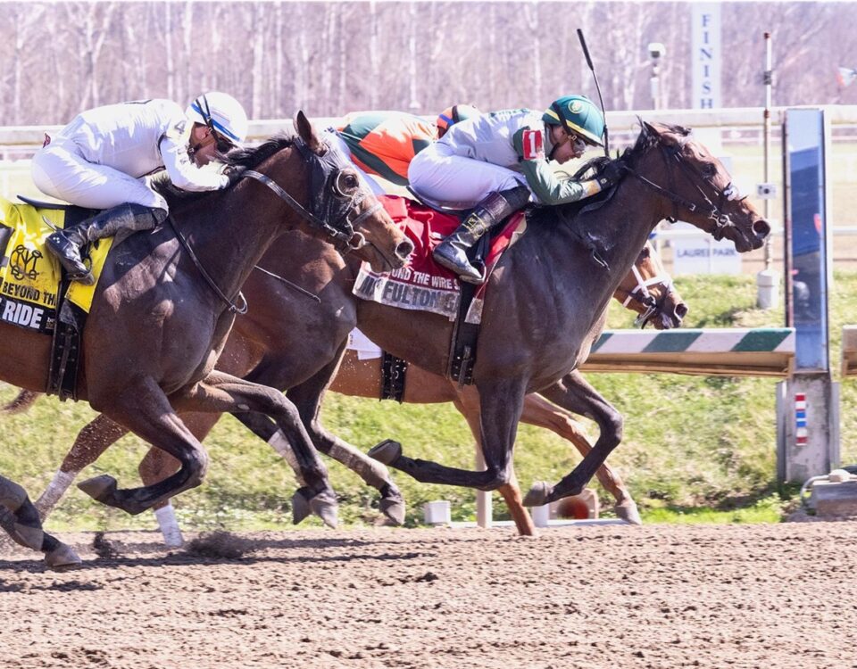 Miss Fulton Gal - Beyond the Wire Stakes - Laurel Park - Jim McCue - Maryland Jockey Club