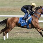 Monster - Barbara D. Livingston - Daily Racing Form