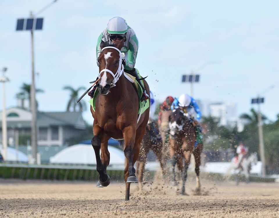 Mythical - Coglianese Photo - Gulfstream Park