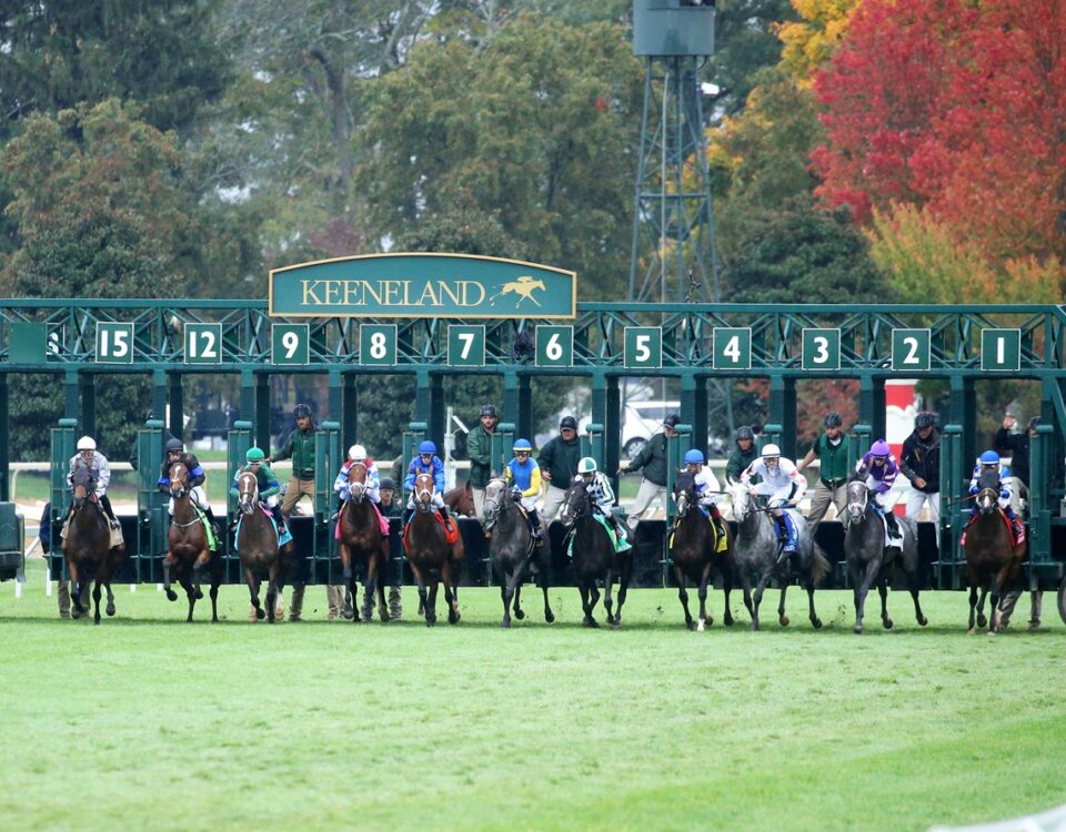 Keeneland - Scenic - Coady Photography