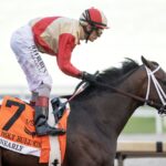 Nearly - Holy Bull G3 - Gulfstream Park - Barbara D. Livingston / Daily Racing Form