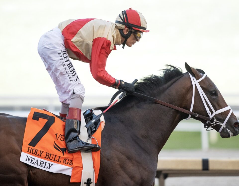 Nearly - Holy Bull G3 - Gulfstream Park - Barbara D. Livingston / Daily Racing Form