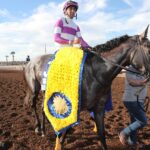 Pavlovian - Coady Media