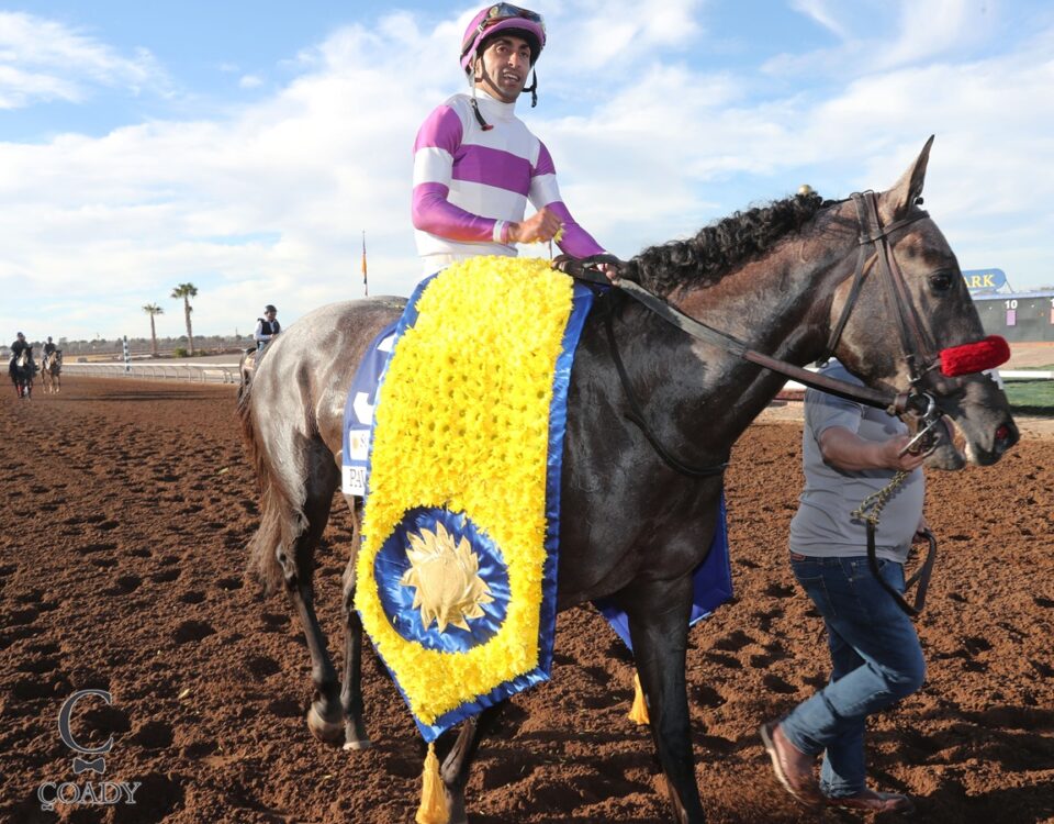 Pavlovian - Coady Media