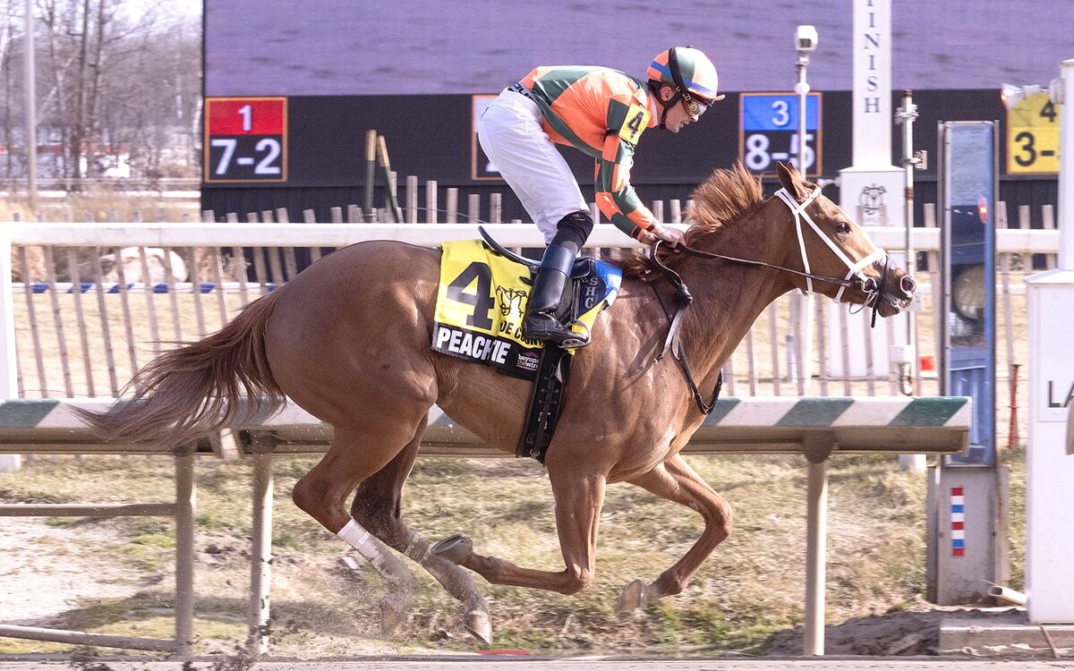 Peach Tie - Jim McCue - Maryland Jockey Club
