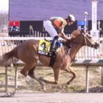 Peach Tie - Jim McCue - Maryland Jockey Club