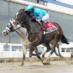 QUINT'S BREW - Photo: JEFFREY SNYDER F/ The Maryland Jockey Club
