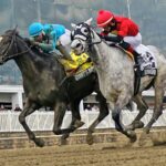 Quint's Brew - Laurel Park - Jeffrey Snyder/Maryland Jockey Club