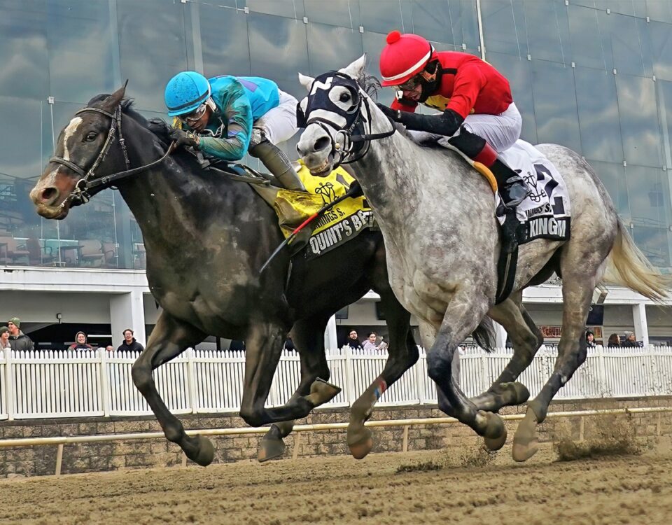 Quint's Brew - Laurel Park - Jeffrey Snyder/Maryland Jockey Club