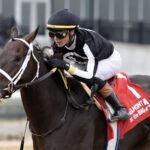 R Disaster - Barbara D. Livingston - Daily Racing Form