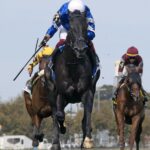 Rebel's Romance - Barbara D. Livingston - Daily Racing Form