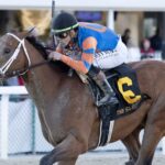 Renegade - Tom Keyser - Daily Racing Form