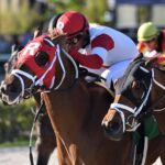 Shipmate - Texas Glitter Stakes - Gulfstream Park - Ryan Thompson - Coglianese Photo