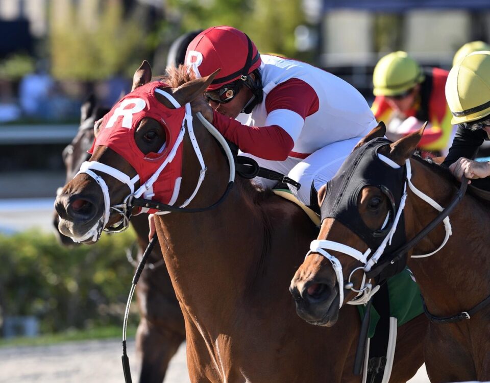 Shipmate - Texas Glitter Stakes - Gulfstream Park - Ryan Thompson - Coglianese Photo