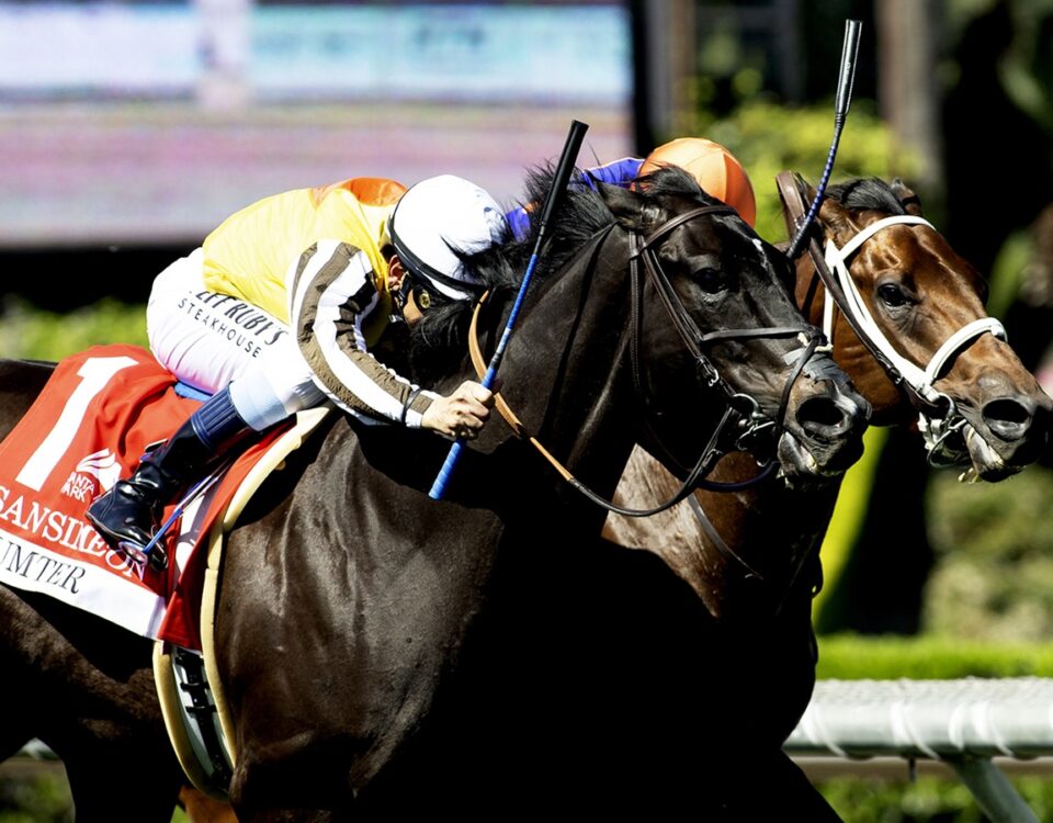 Sumter and jockey Mike Smith - G3 $100,000 San Simeon Stakes - Santa Anita Park - © BENOIT PHOTO