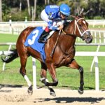 Tessellate - SV Photography - Tampa Bay Downs