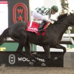 Woodbine - Michael Burns Photo