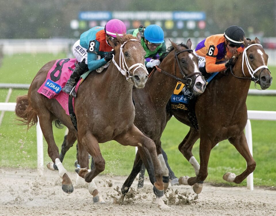 The Puma - Tampa Bay Derby G3 - Tom Keyser - Daily Racing Form