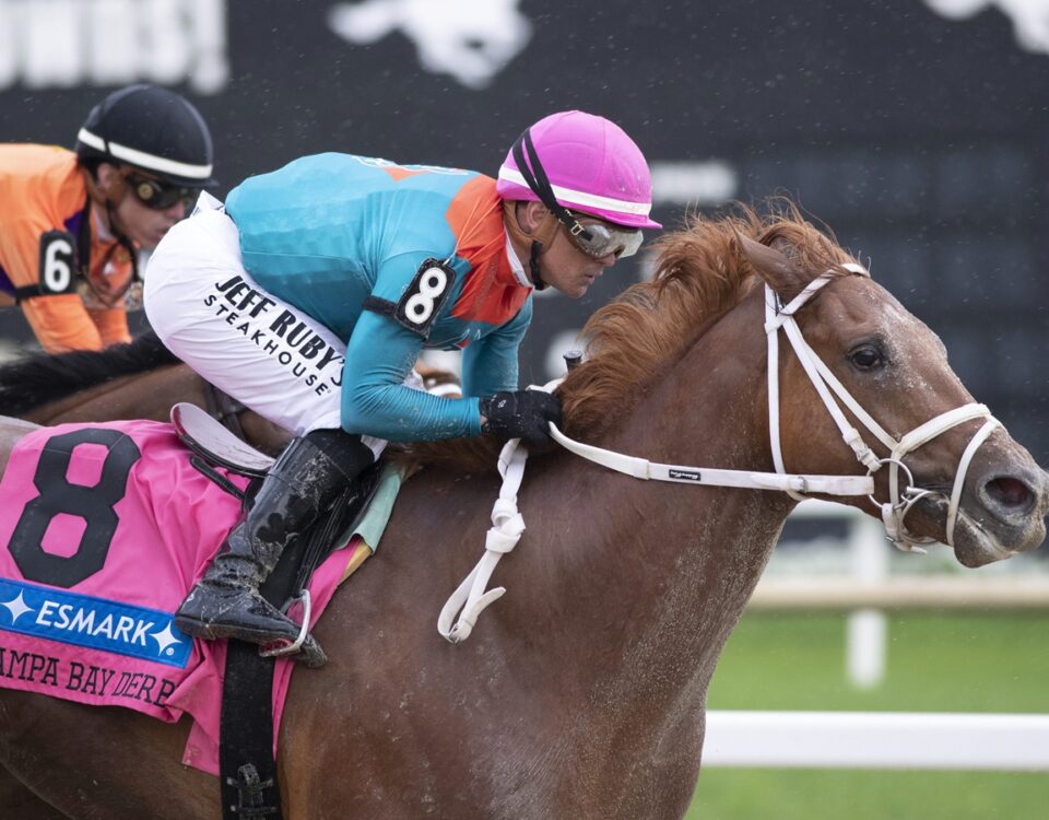 The Puma - Tom Keyser - Daily Racing Form