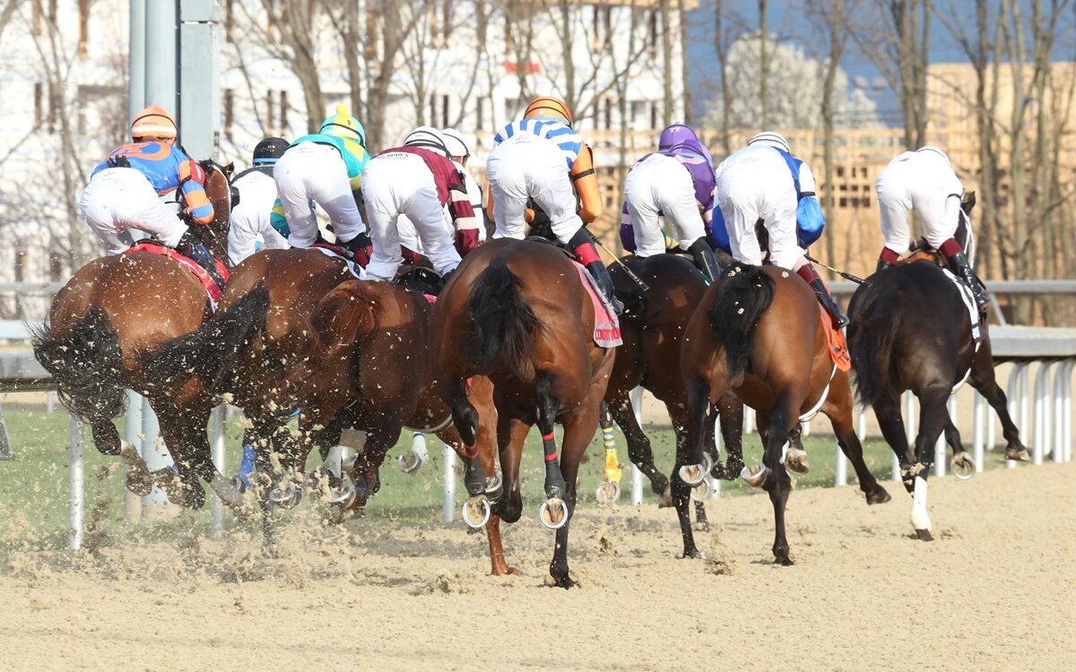 The Jeff Ruby Steaks G3 - Turfway Park Florence - Coady Media