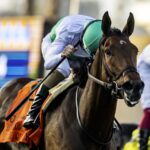 Truly Quality - Benoit Photo