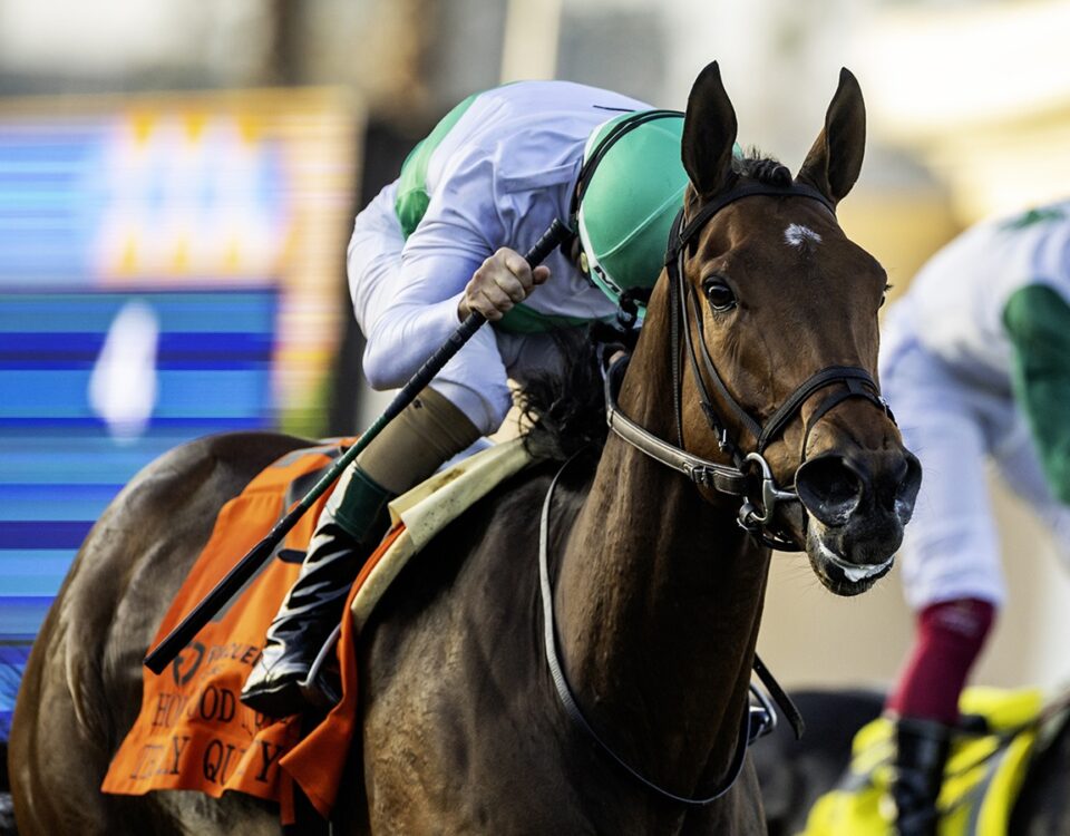 Truly Quality - Benoit Photo