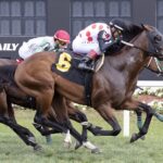 Uncle's Gold - Tampa Bay Downs - Tom Keyser / Daily Racing Form