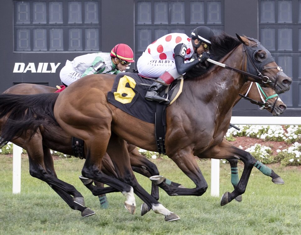 Uncle's Gold - Tampa Bay Downs - Tom Keyser / Daily Racing Form