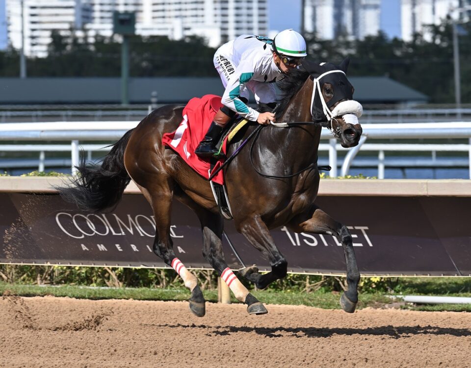 American Women - Lauren King - Coglianese Photo