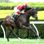 BURNHAM SQUARE - The VisitLEX Elkhorn G2 - Renee Torbit - Coady Media