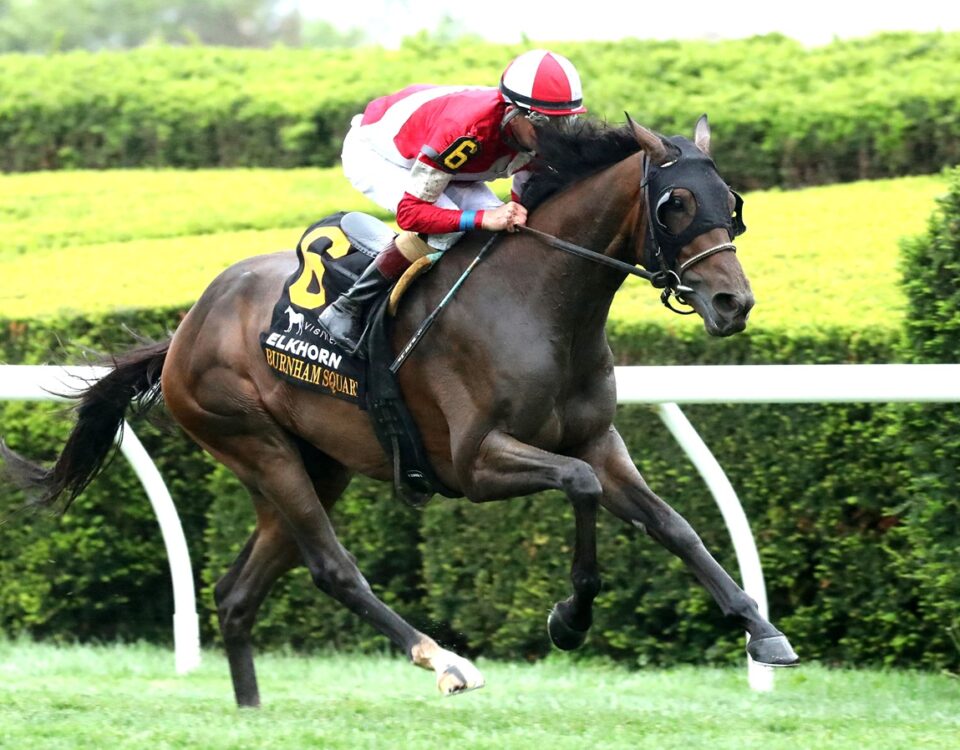 BURNHAM SQUARE - The VisitLEX Elkhorn G2 - Renee Torbit - Coady Media