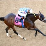 Claret Beret - Apple Blossom Handicap G1 - Oaklawn Park - Coady Media USA
