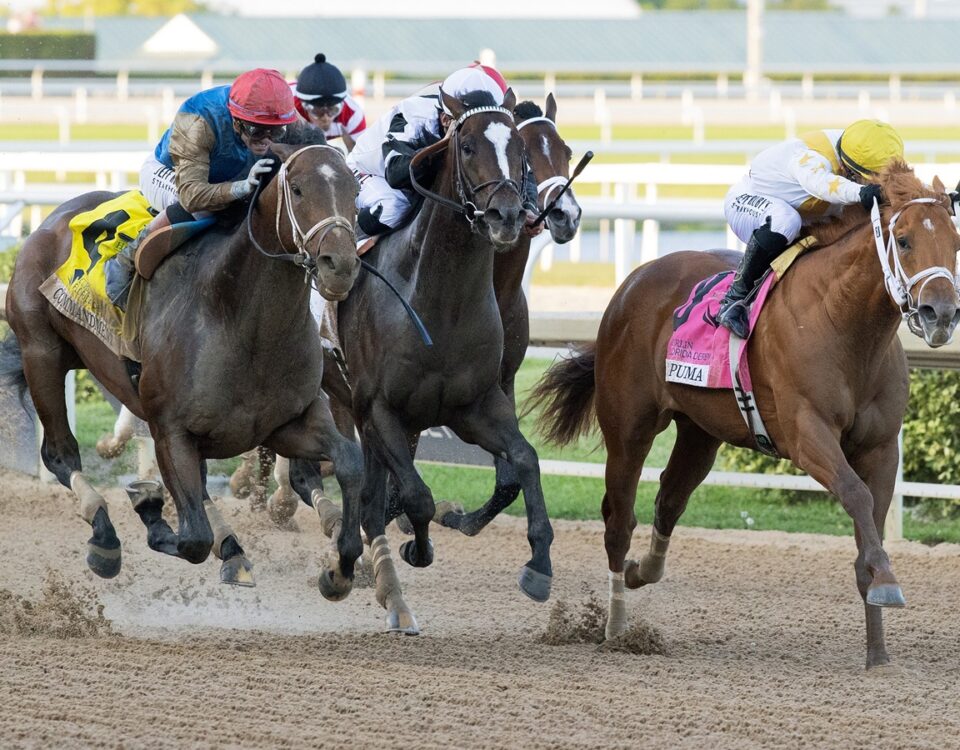 Commandment y The Puma - Barbara D. Livingston - Daily Racing Form