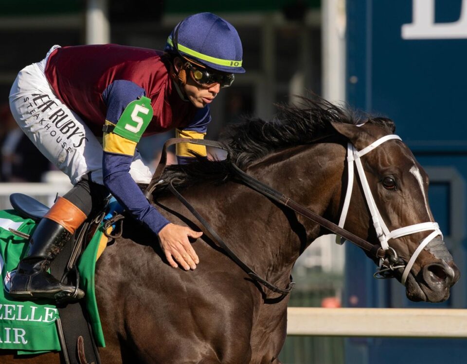 Cy Fair - Mamzelle Stakes G3 - Churchill Downs - Barbara D. Livingston - Daily Racing Form