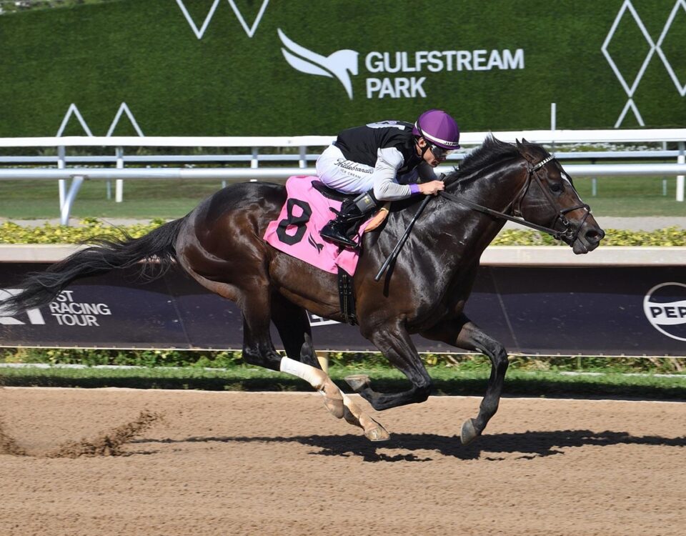 Damon's Mound - FHBPA Sprint Stakes - Coglianese Photo