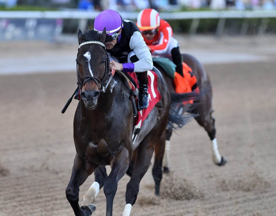 Damons Mound - Ryan Thompson - Coglianese Photo