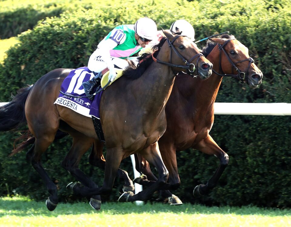 Expensive Queen (Outside) - Segesta (Inside) - Jenny Willey G1 - Rick Bailey - Coady Media
