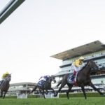 Sir Delius - photo credit SKY RACING