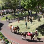 Keeneland scenic - Spring 2026 - Coady Media