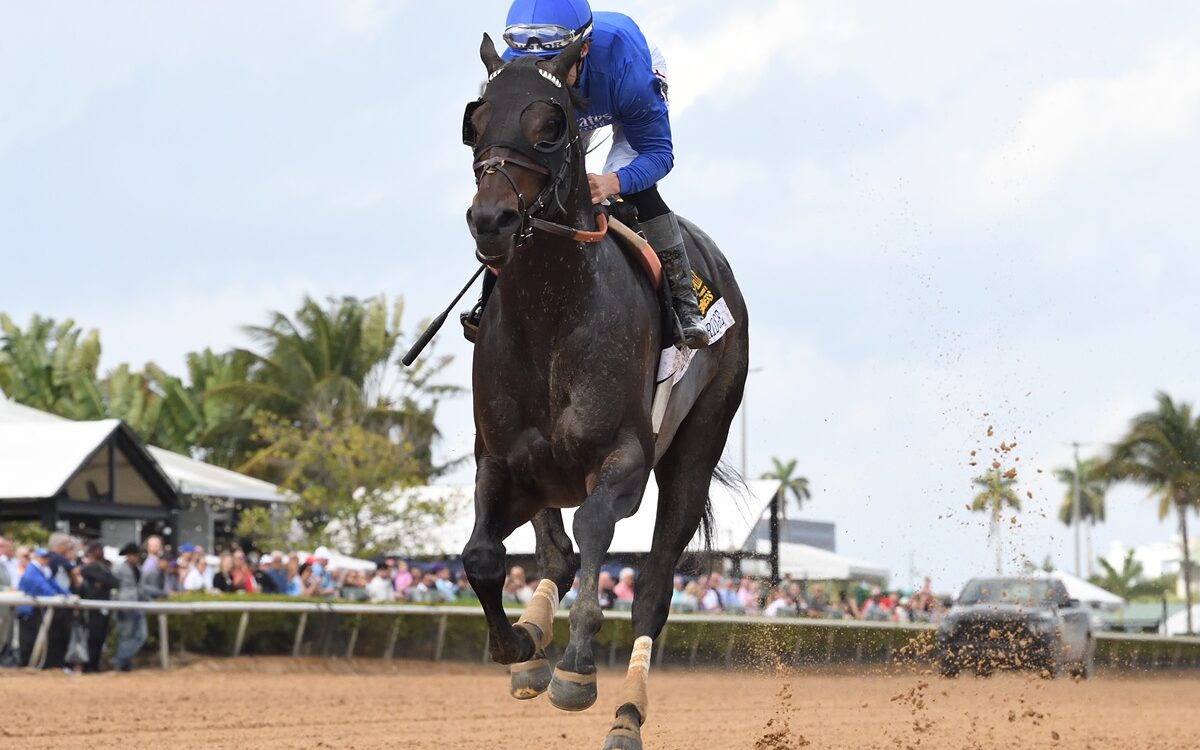 Knightsbridge - Coglianese Photo