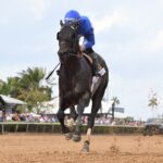 Knightsbridge - Coglianese Photo