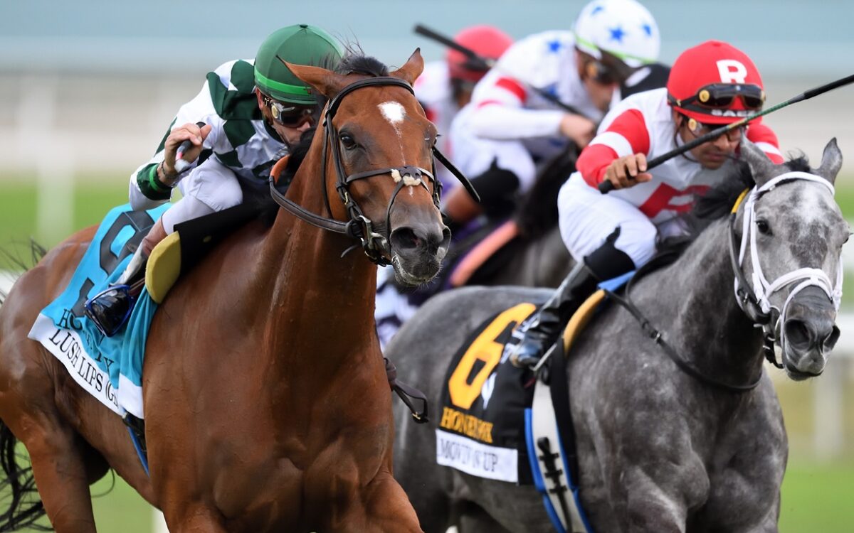 Lush Lips (GB) - Nicole Thomas - Coglianese Photo