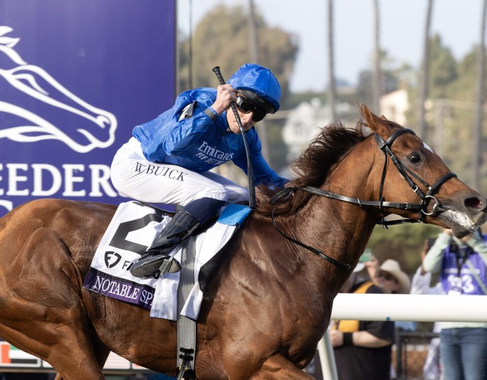 Notable Speech - BC Mile - Barbara D. Livingston - Daily Racing Form