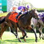 Remember Mamba - Transylvania Stakes G3 - Keeneland - Coady Media USA