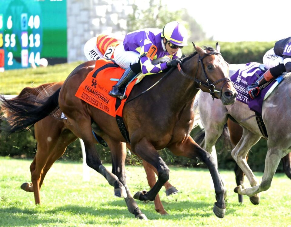 Remember Mamba - Transylvania Stakes G3 - Keeneland - Coady Media USA