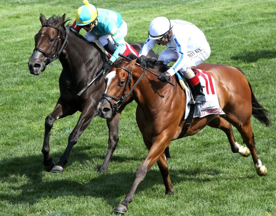 SLAY THE DAY - Fanduel Limestone Stakes - John Gallagher - Coady Media