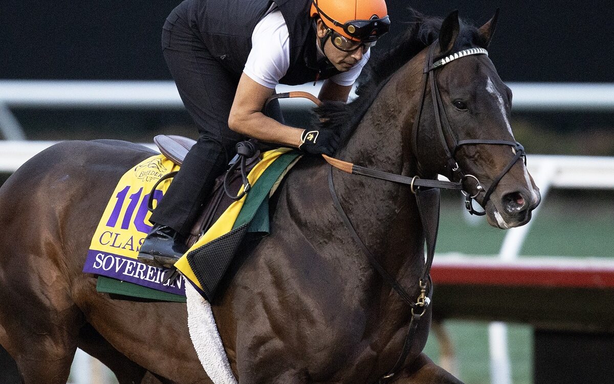 Sovereignty - Barbara D. Livingston - Daily Racing Form